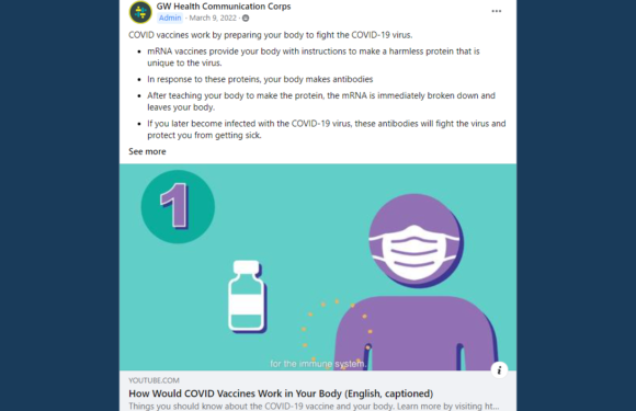 «Breaking News: Facebook Virus Update»