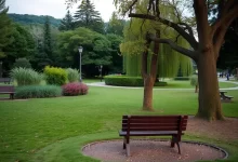 Photo of Отдых в уютном парке